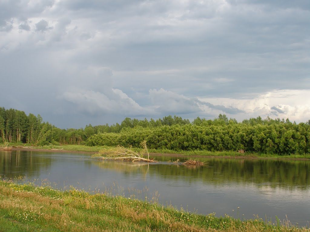 Быстрый Исток Алтайский Край Фото